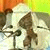 member khalifa_ab