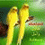 member khollood_m