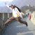 kippei94400 profile picture