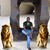 member kitumba_er