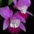 member klimchuk63