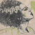 Laume profile picture