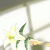member Lina2001102714671123