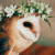 member Low_Owl