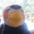 LucaZhu profile picture