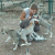 Lully_Fleur profile picture