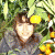 Lyudmilachka profile picture