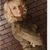 larisa_cha profile picture