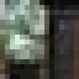 lazoryshyn
