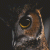 member lazynightowl