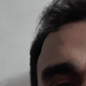 leofalconer