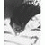 member leslie_sim