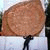 lizzy_guiz profile picture