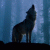 member lonewolf-az