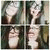 member lourdes_ar