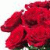 member lovelink