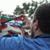 member luka_ivezi