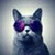 member luka_rockw