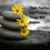 member lydiane_do