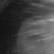 member Maoraluna