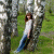 Mari_Gilbert profile picture