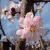 Marya_M profile picture