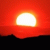 MatmazelFigen profile picture