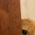 member Max2004
