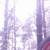 member Maxim_MS