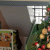 member Mehmet0617