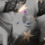 Miiisschacha profile picture
