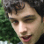 Mirko9 profile picture