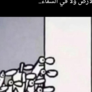 Mohammedi_M