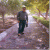 member Mohsen32