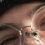 member Moozie