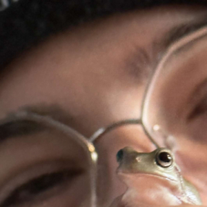 Moozie