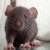 madeline79 profile picture