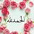 member mahmod_dom