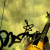mahmoudh profile picture