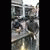 member maja_jovan