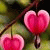 member majed_maje