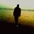 majid_more profile picture