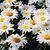 member maria_hein