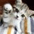 member mariam_moh