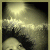 martynka_bra profile picture