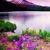 member marwa_ep_b