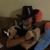 member max_varash