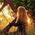 mayrin_mey profile picture