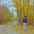 member maysam_rez