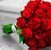 med_salh_a profile picture